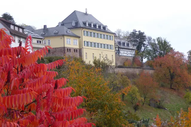 Die Neuburg am 19.10.2025: ein Blick von "Auf der Mauer".