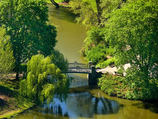 Der Maschpark liegt hinter dem Neuen Rathaus