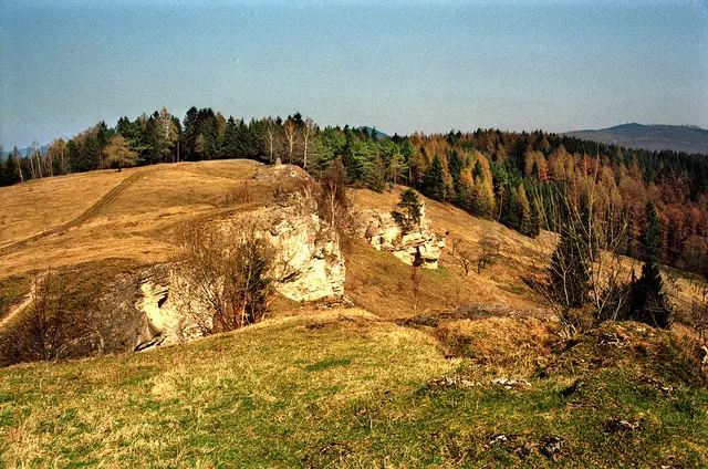 Landschaft bei der Steinkirche nahe Scharzfeld im Harz