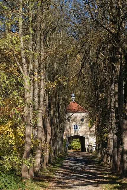 Allee am Schloß im OT Hammel