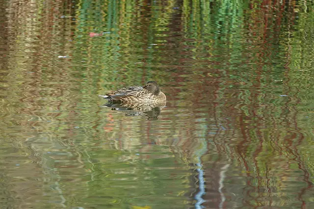 Aufgeschnappt im Bürgerpark Diedorf