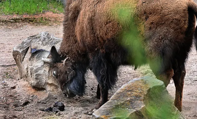 Themenwelt Yukon Bay