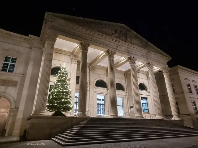 Am Leineschloss, dem Sitz des Niedersächsischen Landtages, verbreitet ein leuchtender Weihnachtsbaum eine besinnliche und friedvolle Stimmung (Foto: Katja Woidtke)

 | Foto: Katja Woidtke