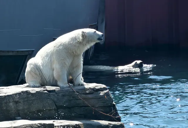 Themenwelt Yukon-Bay