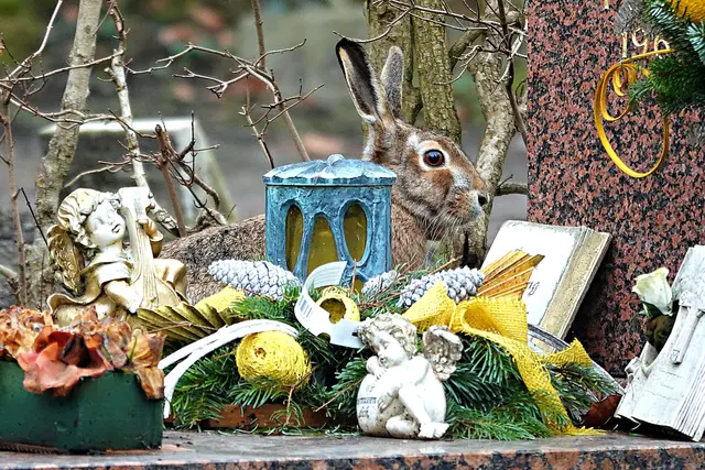 Quickledendiger Grabbesucher auf dem Nordfriedhof in Augsburg