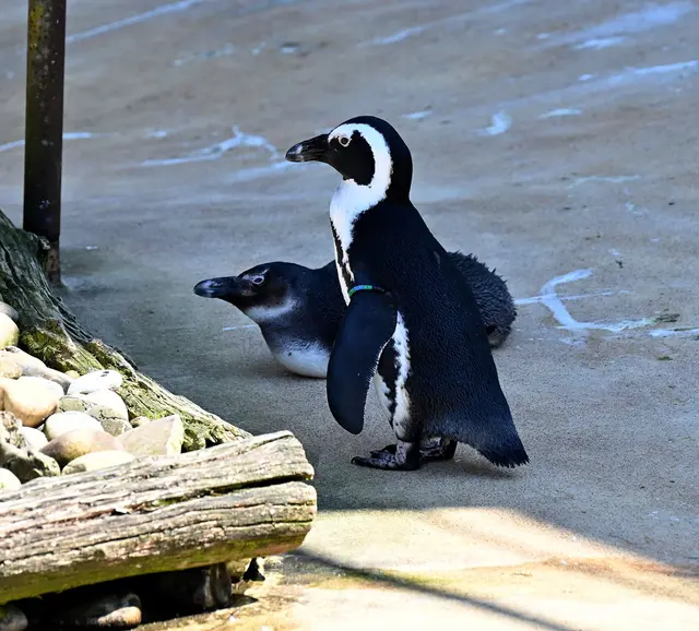 an Deck im Hafen von Yukon Bay