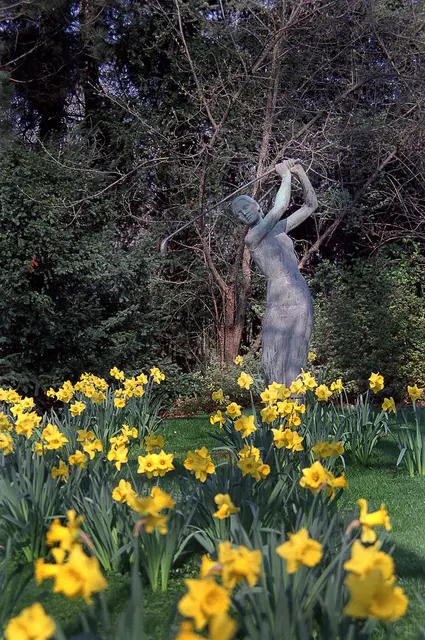 Die Skulptur wurde 1935 von dem Bildhauer Constantin Starck geschaffen und von Erich Haberland gegossen. 1959 gelangte sie als Schenkung der Fritz-Behrens-Stiftung in den Stadtpark Hannover. Und die schönen Osterglocken im Vordergrund machen Lust auf den kommenden Frühling.
