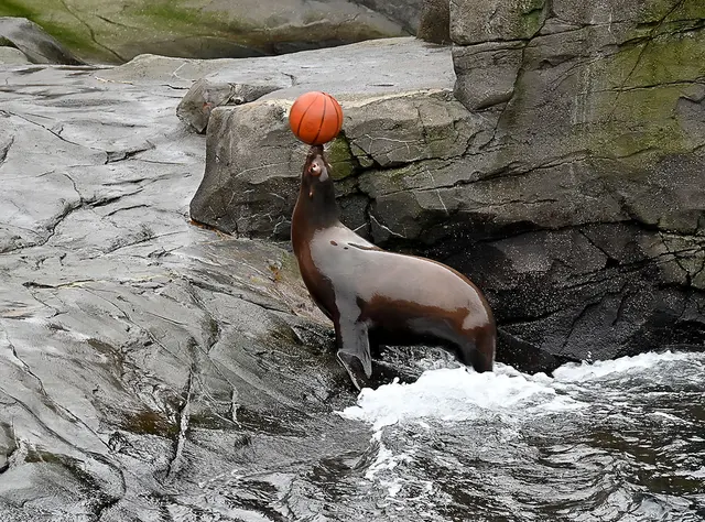 Ballspiele in Yukon Bay