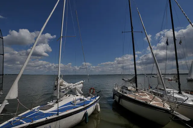 Segelboote am Steinhuder Meer