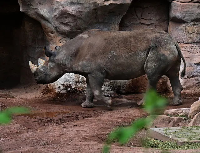 in der Themenwelt Sambesi