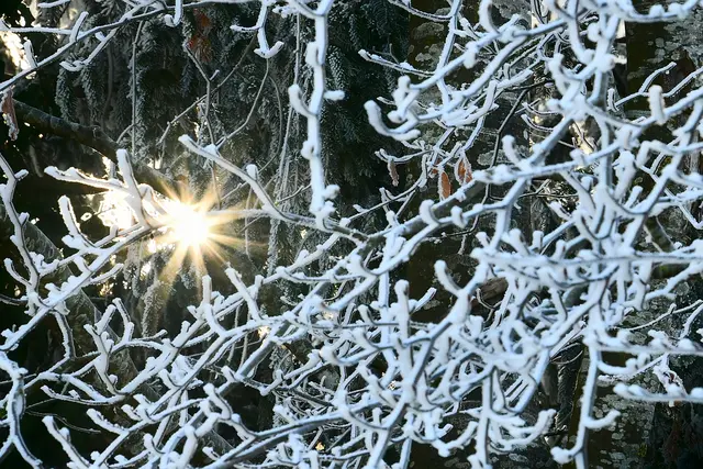 In jedem Winter steckt ein zitternder Frühling, und hinter dem Schleier jeder Nacht verbirgt sich ein lächelnder Morgen. 
(Khalil Gibran) | Foto: Günter Presnitz