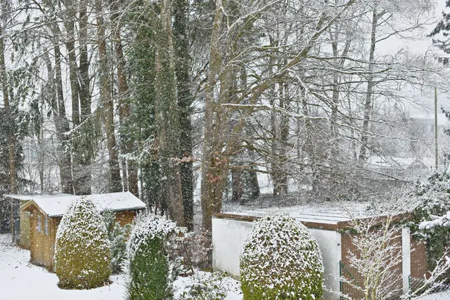 Foto: Günter Presnitz