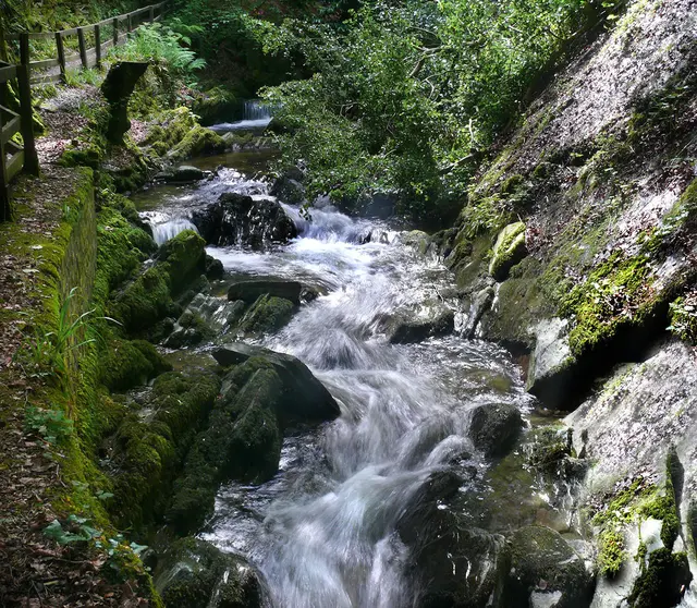Widbach im Groudle Glen