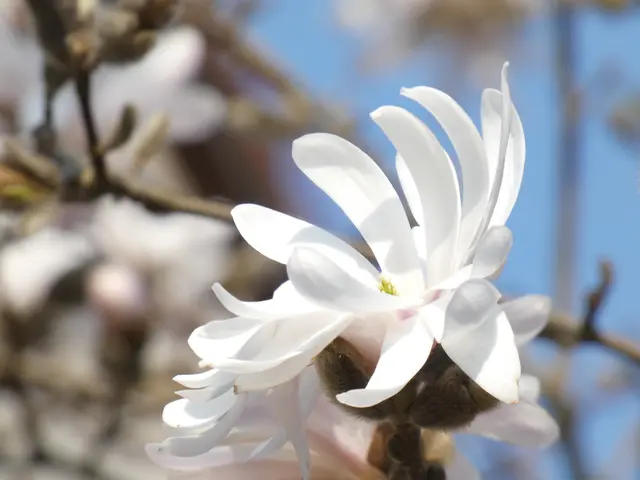 Nicht nur, aber ganz speziell für Hildegard!!!!