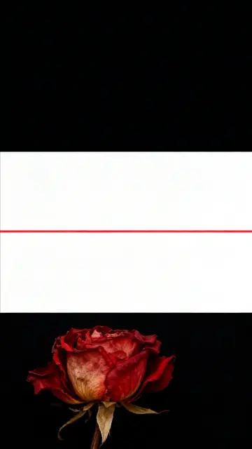 .....niemals geht man so ganz.....LOKALKOMPASS the End...31.03.2026⏳️