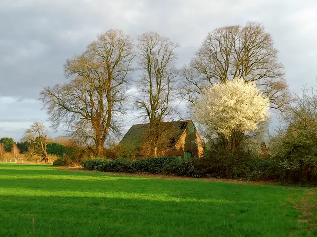 Niederrheinische Landschaft in Wesel-Obrighoven | Foto: Siegmund Walter, 10.03.2026, 16:58 Uhr