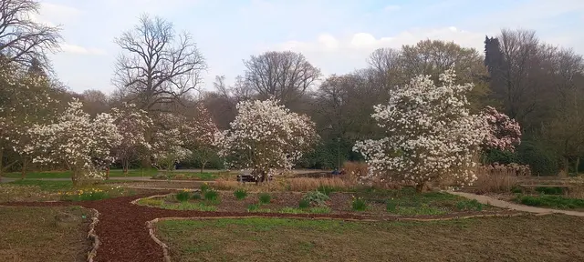 Schnappschuss vom 20.3.26