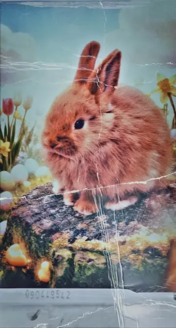 Originalfotografie eines Hauskaninchens in Be- und Überarbeitung im Stil eines alten Photos oder Retro-Bild durch C.D.R. 🐇📸🖼️