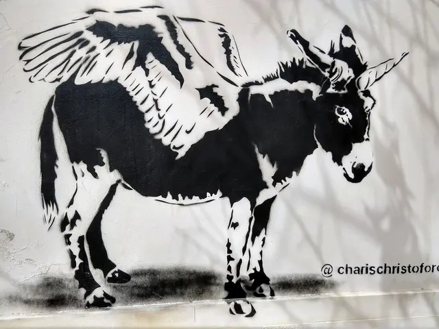 Paphos, Zypern  | Foto: JH