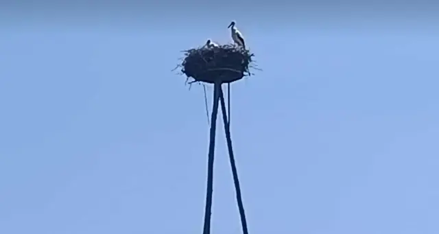 Dieses Storchennest hat meine Tochter auf einem
Spaziergang entdeckt und mir geschickt