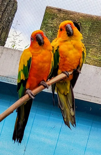 im Zechenpark Kamp-Lintfort  | Foto: JH