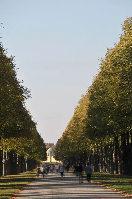 Die Herrenhäuser Allee am Georgengarten