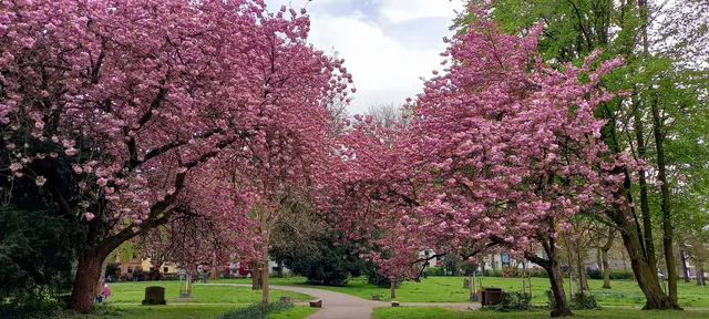 Aufnahme Gervinuspark vom 9.4.26