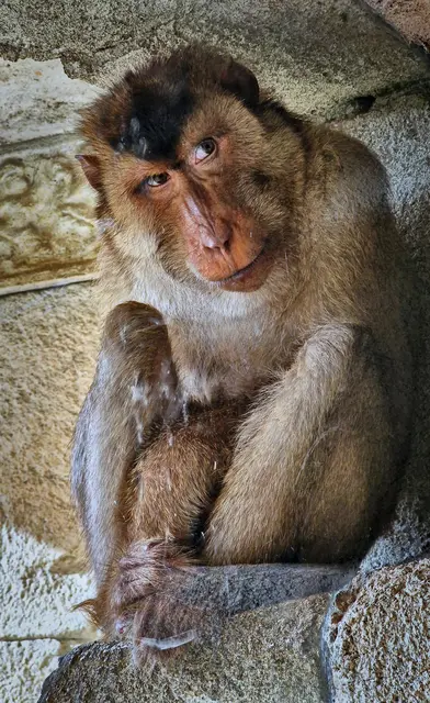 ZOOM ERLEBNISWELT GELSENKIRCHEN.....