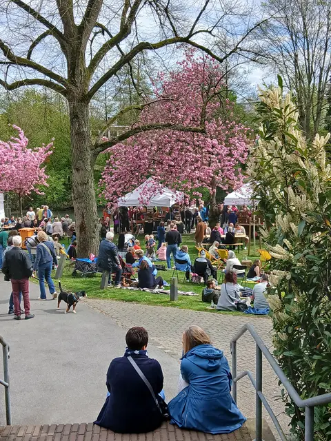 Kirschblütenfest in Kleve | Foto: Siegmund Walter, 11.04.2026, 14:16 Uhr