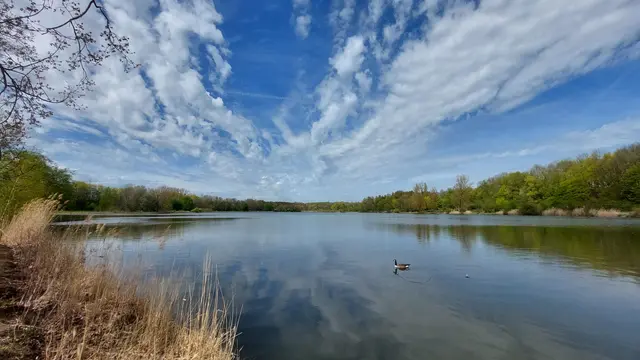 Das schöne Wetter heute für einen Spaziergang am See genutzt.