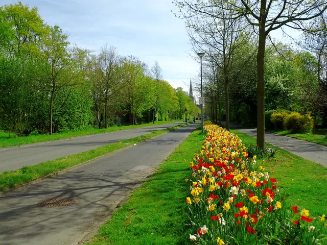 Fischertorstraße in Wesel | Foto: Siegmund Walter, 11.04.2026, 11:42 Uhr