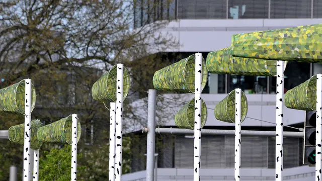 Zitat aus dem Internet (Hannover entdecken...): "Bestehend aus 28 Windsäckchen an weiß-schwarzen Stangen erscheint er dem Betrachter als Birkenwald. ...  Die Idee entwickelten die damaligen Studenten Dominik Geilker und Stefanie Schmoll."