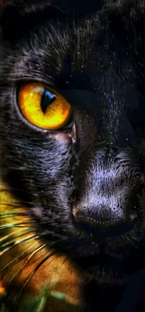 ... ORIGINAL PHOTOGRAPHY in Bearbeitung