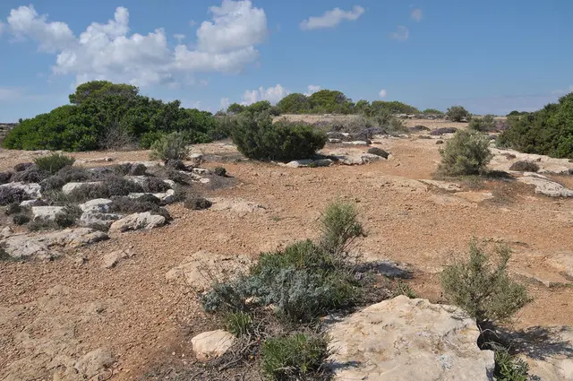 Landschaft nahe dem Far de la Mola