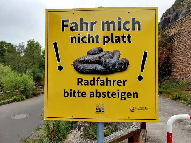 Auf dem Nahe - Radweg von Bad Kreuznach nach Bad Münster am Stein. Ringelnattern sind harmlos. | Foto: JH