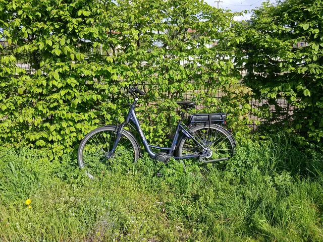 E-Damenfahrrad, seit geraumer Zeit in Grünstreifen am Gitterzaun angelehnt.
Ort: Pkw- Parkplatz Weseler Hauptbahnhof 
Sachstand: 16.04.2026 | Foto: Siegmund Walter, 16.04.2026