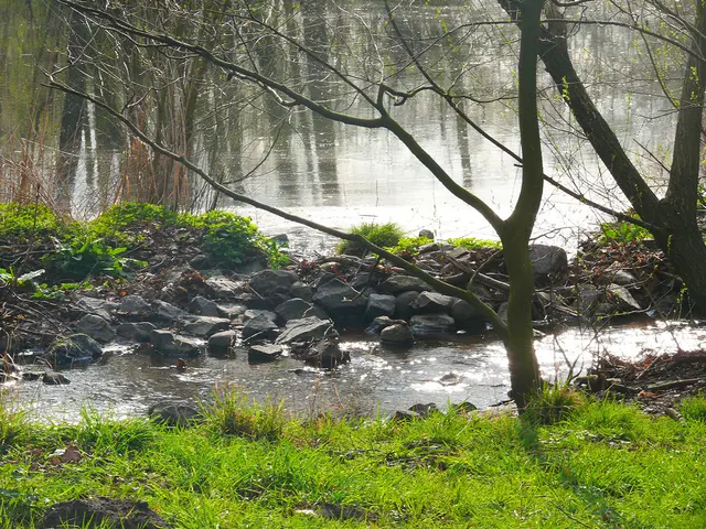 Frühling in der Südlichen Leineaue