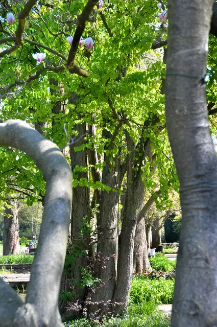 Im Stadtpark von Hannover
