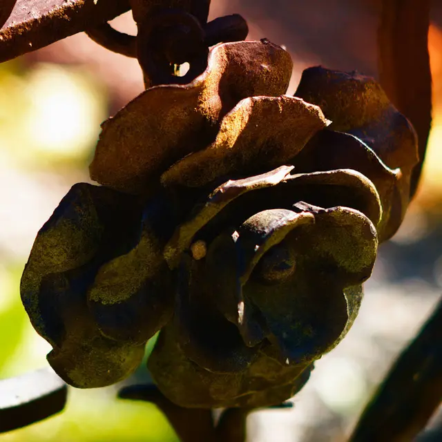 Kunstfotografie Kunst Fotografie Blume. Kunstfotografie Kunst Fotografie Blume entstanden in Iserlohn / Deutschland. Eine Fotografie von Blume in scharf / unscharf fotografiert. | Foto: Jörg Schubert - #schubertj73