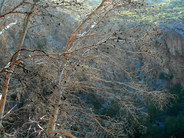 Landschaft bei Sa Calobra