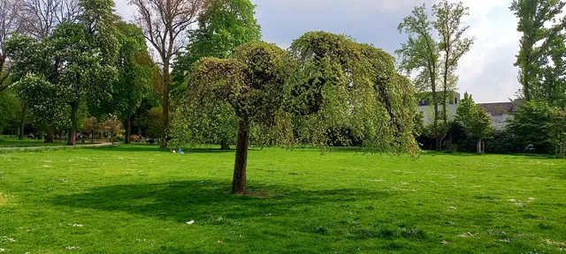Schnappschuss Gervinuspark, Essen-Frohnhausen 