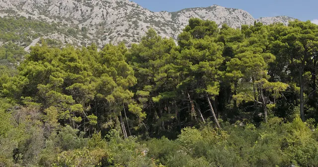 Bergwelt bei Igrane, Dalmatien