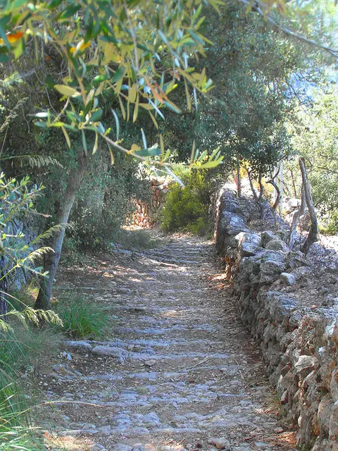 Schattiger Wanderweg in den Serra de Tramuntana
