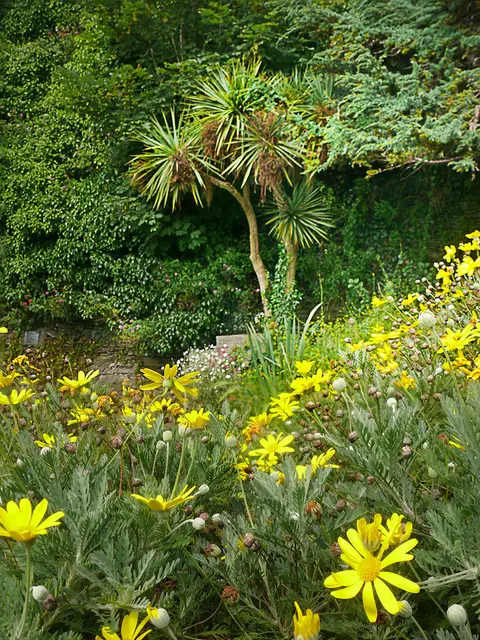 Landschaft im Groudle Glen bei Onchan