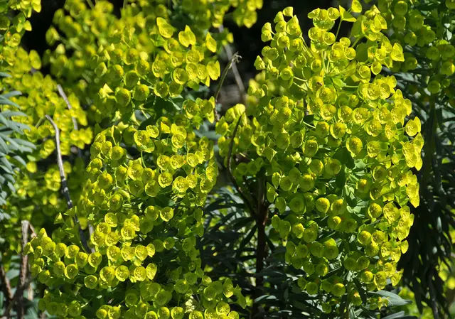 im Stadtpark von Hannover