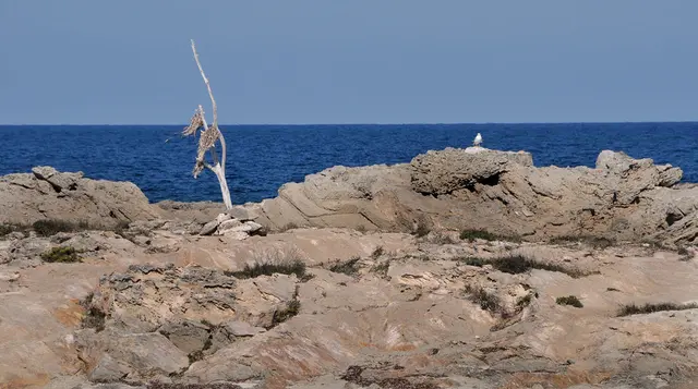 Küste bei Es Pujols auf Formentera