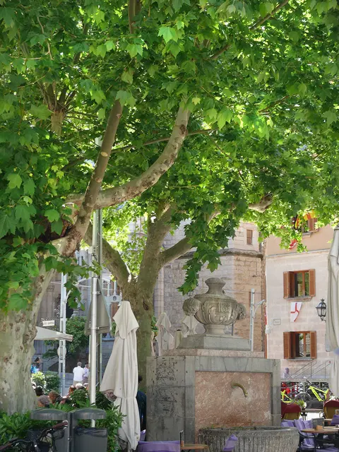 in der Altstadt von Sóller