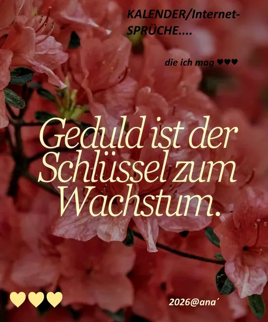 ...GEDULD!
Nicht immer so einfach!?!
oder ...

...
LG aus NRW :-)
