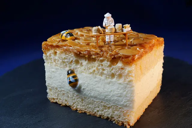 Dumm gelaufen für den Mini-Imker: Bienenstich trotz Schutzkleidung :-))