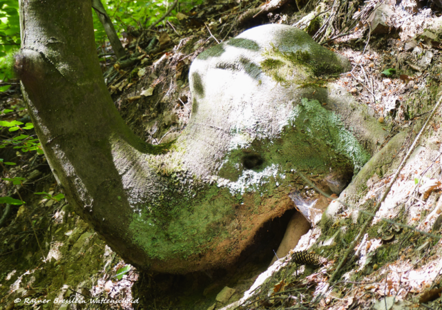 Foto: ©Rainer Bresslein  - Wattenscheid